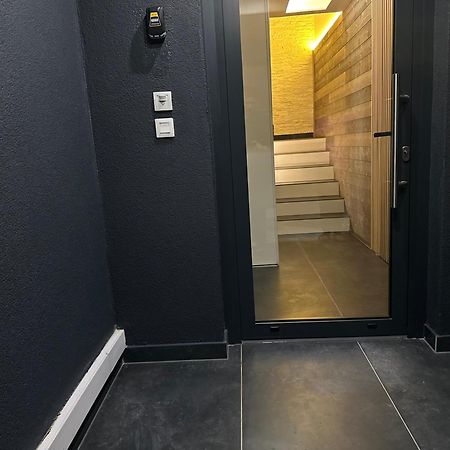 Magnifique Logement Proche De Colmar Parking Wifi Wintzenheim Extérieur photo